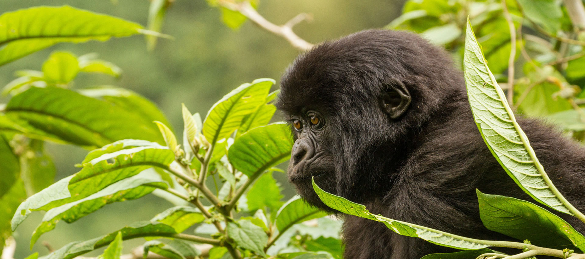 rwanda top destinations