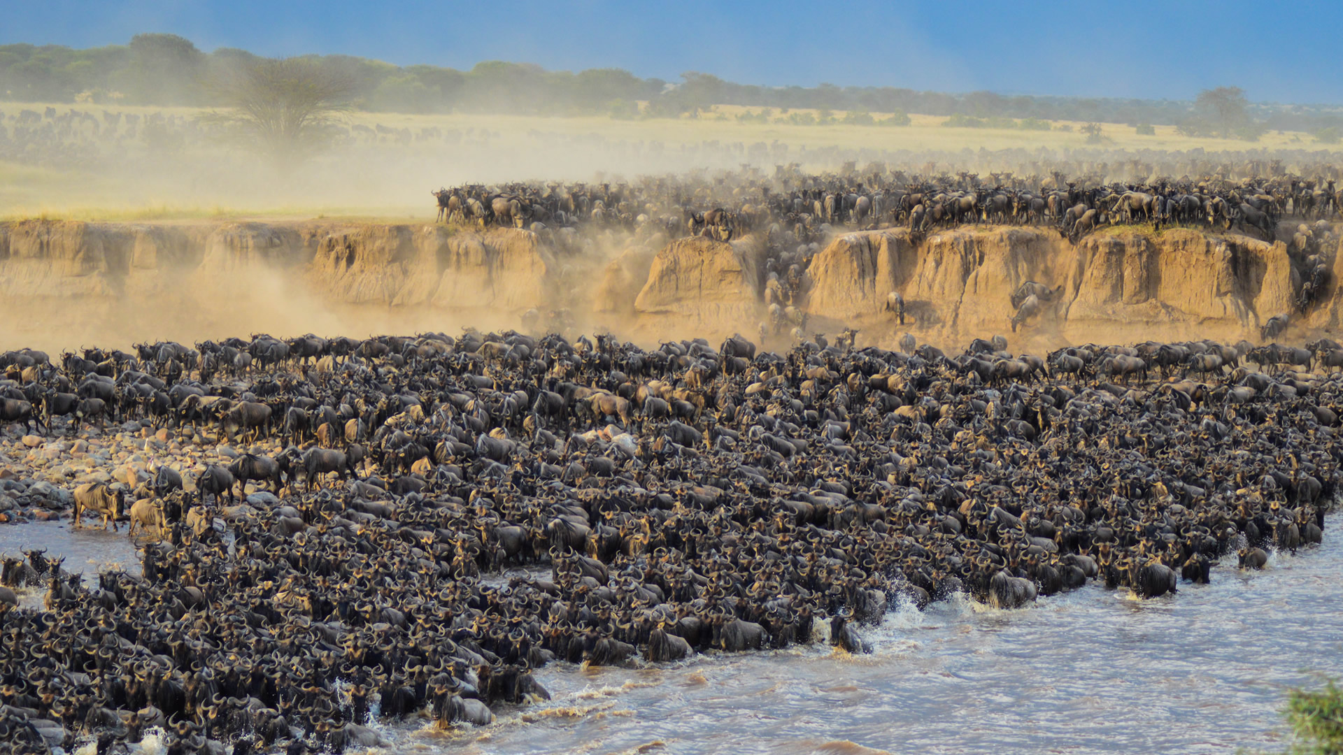 serengeti national park