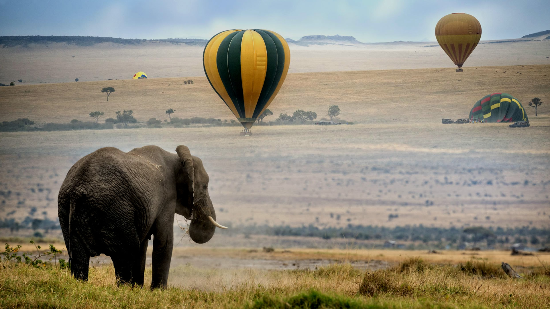 balloon ride experience balloon ride experience