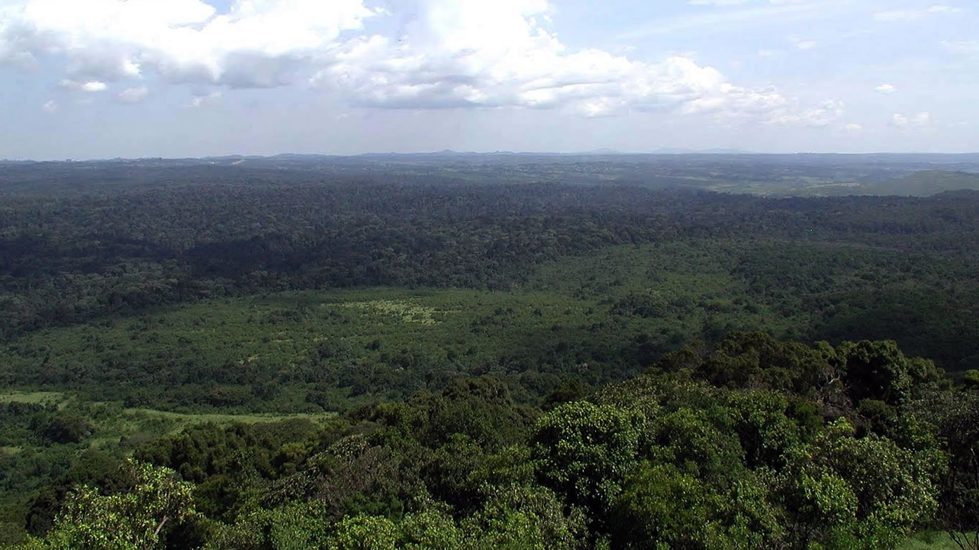 kakamega forest kakamega forest