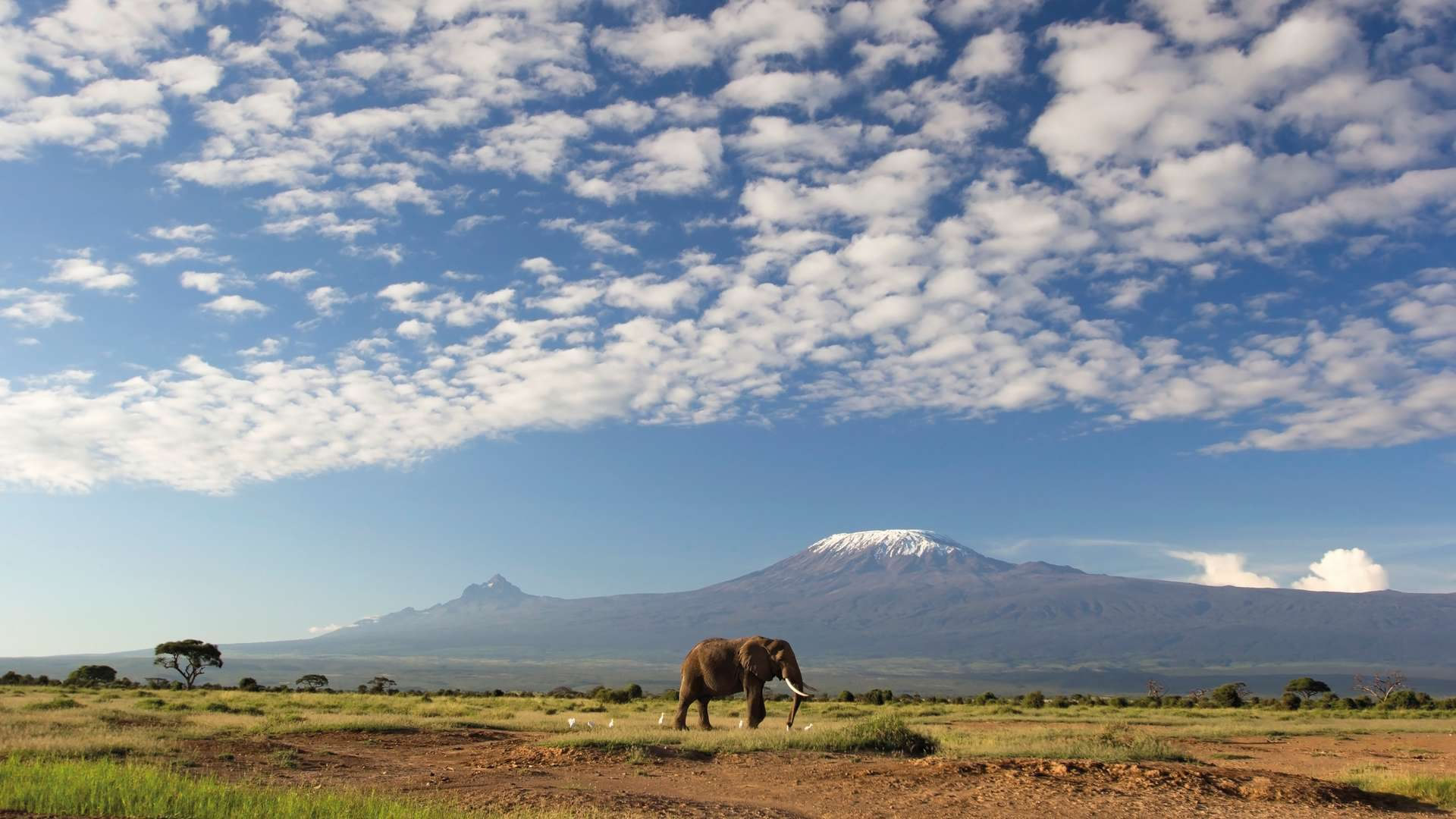 kenya photographic safaris kenya photographic safaris