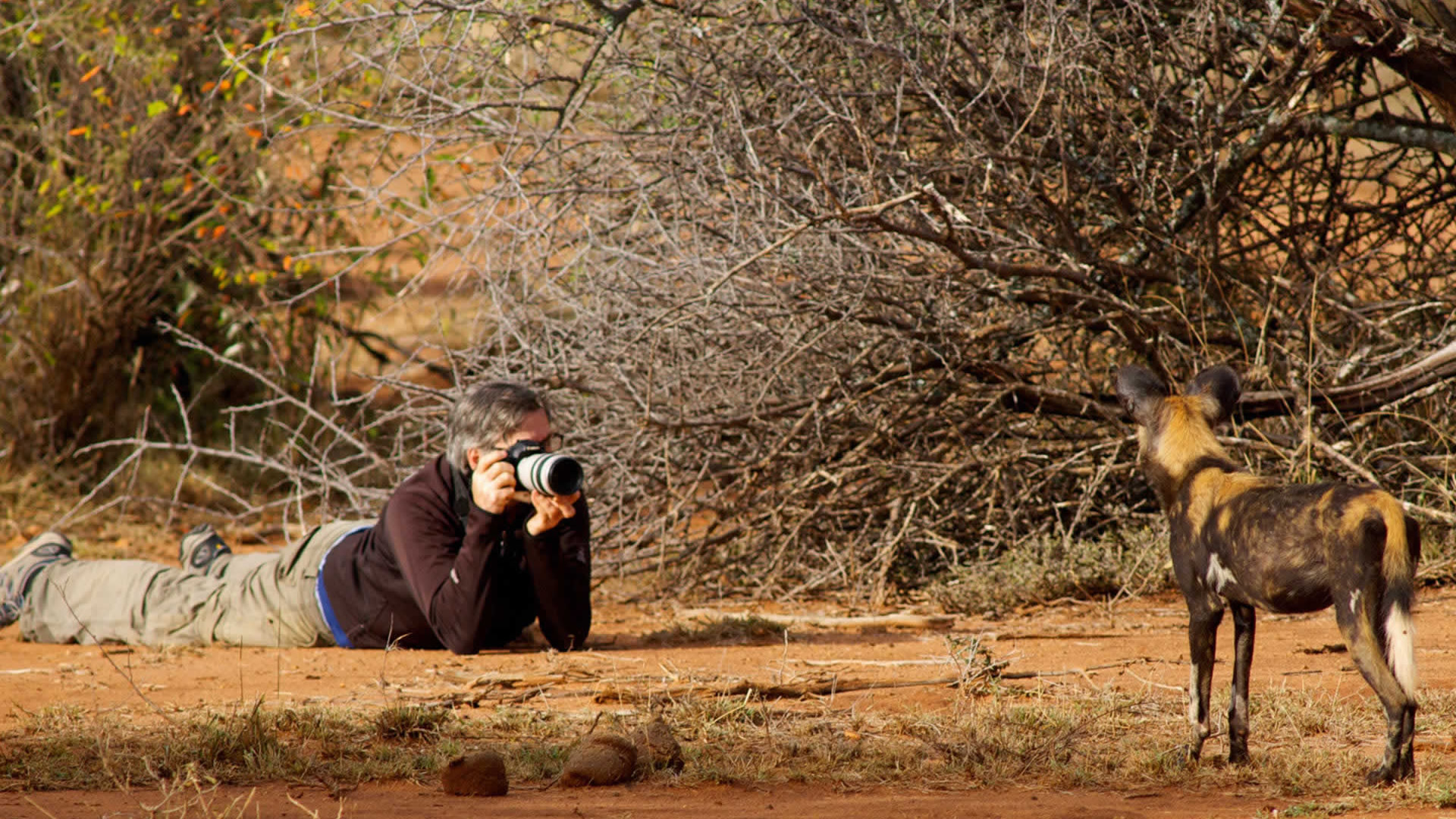 kenya photographic safaris kenya photographic safaris