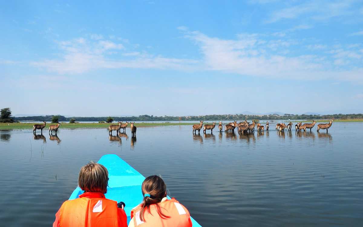 lake naivasha boat ride lake naivasha boat ride