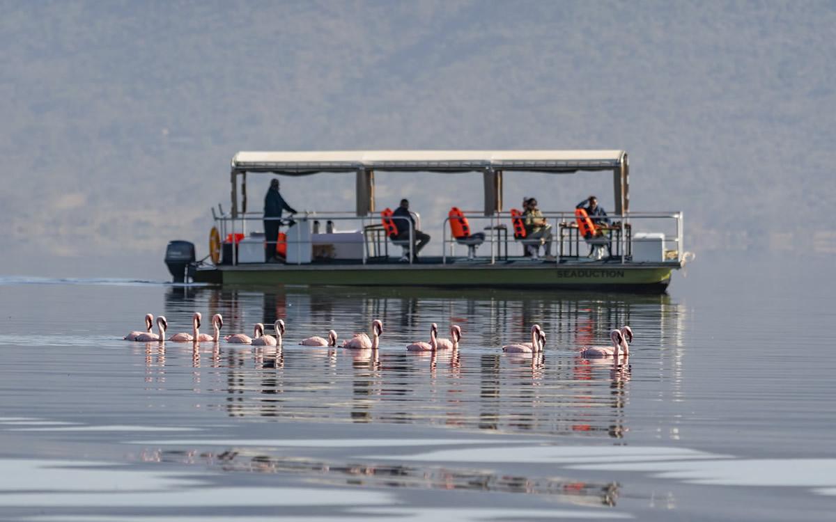 lake nakuru boat trip lake nakuru boat trip