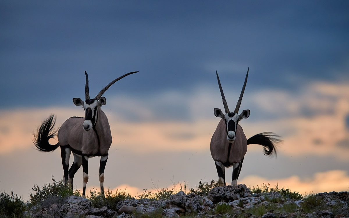 ndere island national park ndere island national park