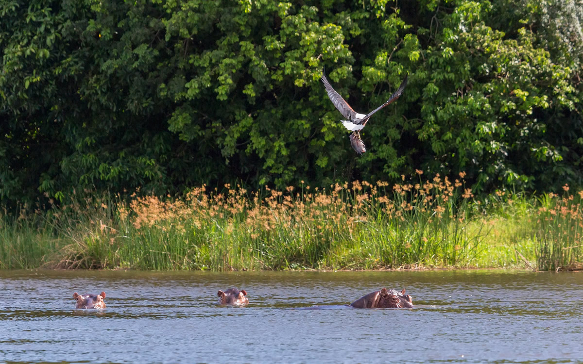 ndere island national park ndere island national park