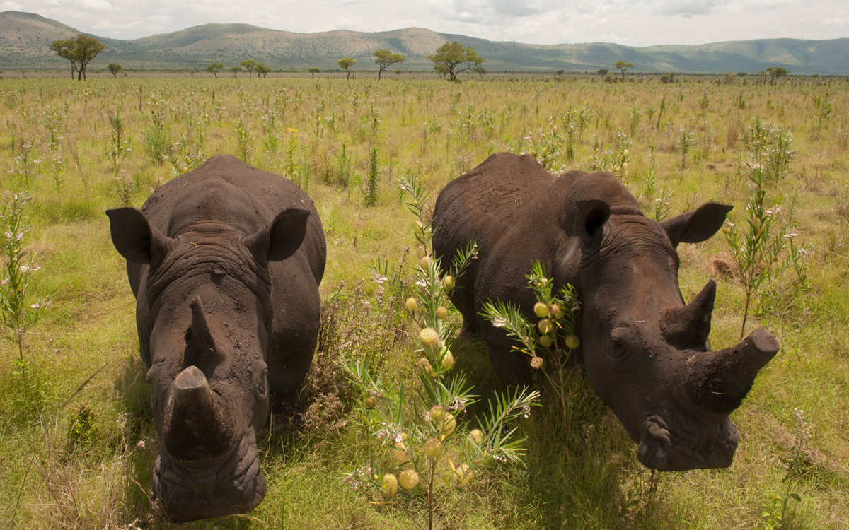 ruma national park ruma national park